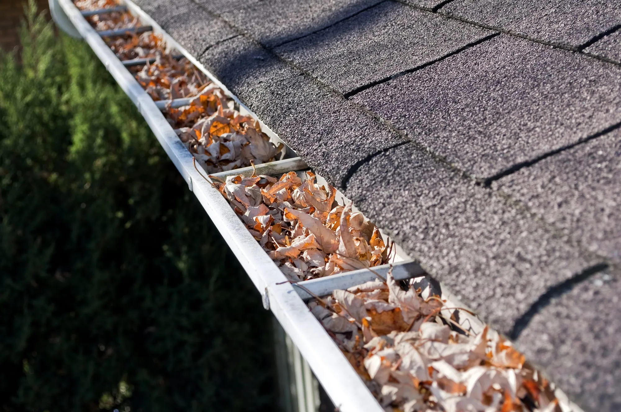 Can Clogged Gutters Damage Your Roof? What Homeowners Need to Know