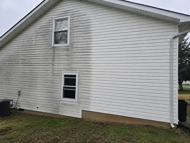 Black Streaks on Your House: Are They Dirt, Mold, Mildew, or Something Else?