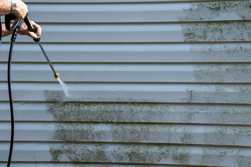 Green Algae on House Siding: Causes and Safe Removal