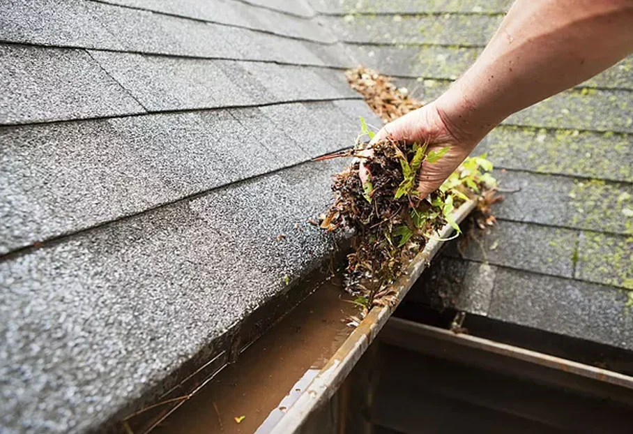How Gutter Cleaning Protects Your Home From Water Damage